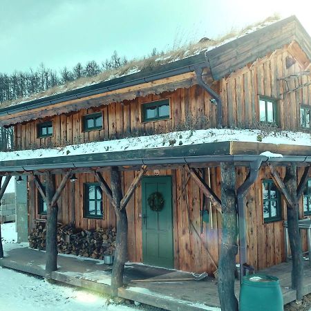 Chalet Boruvka - Biofarma Na Samote V Lesich Benesov  Екстериор снимка