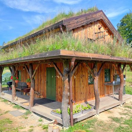 Chalet Boruvka - Biofarma Na Samote V Lesich Benesov  Екстериор снимка