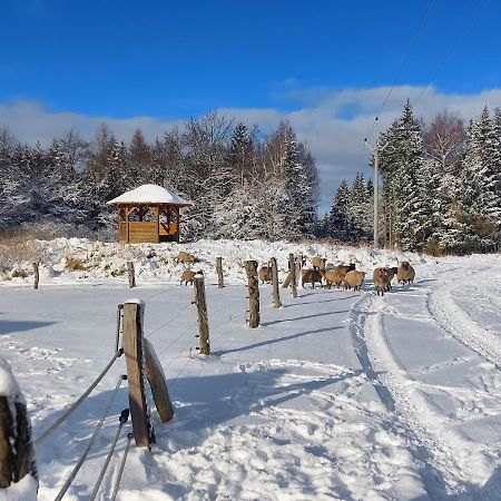 Chalet Boruvka - Biofarma Na Samote V Lesich Benesov  Екстериор снимка