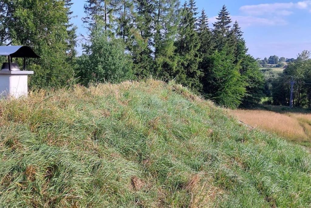 Chalet Boruvka - Biofarma Na Samote V Lesich Benesov  Екстериор снимка