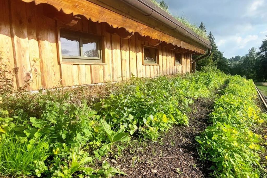 Chalet Boruvka - Biofarma Na Samote V Lesich Benesov  Екстериор снимка