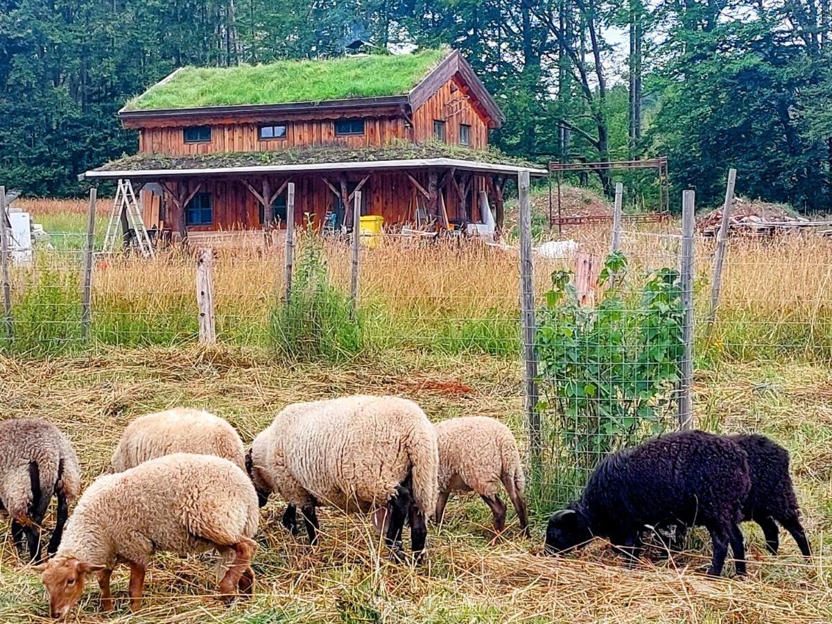 Chalet Boruvka - Biofarma Na Samote V Lesich Benesov  Екстериор снимка