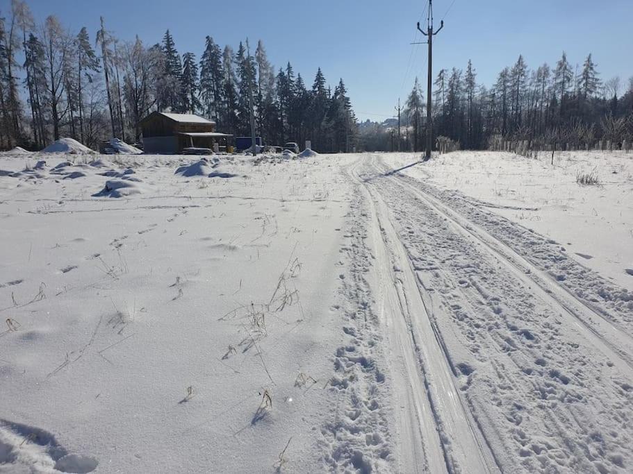 Chalet Boruvka - Biofarma Na Samote V Lesich Benesov  Екстериор снимка