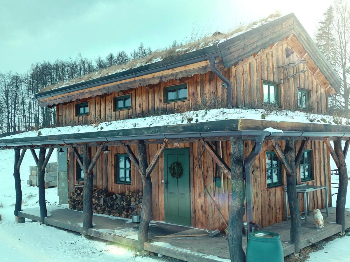 Chalet Boruvka - Biofarma Na Samote V Lesich Benesov  Екстериор снимка