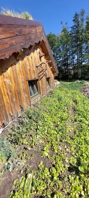 Chalet Boruvka - Biofarma Na Samote V Lesich Benesov  Екстериор снимка
