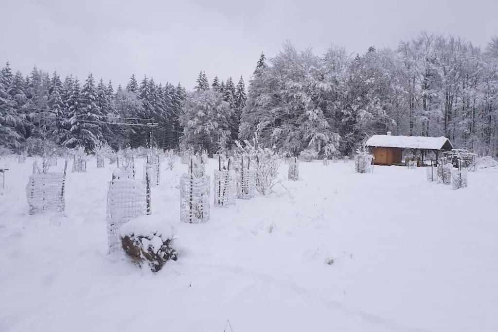Chalet Boruvka - Biofarma Na Samote V Lesich Benesov  Екстериор снимка