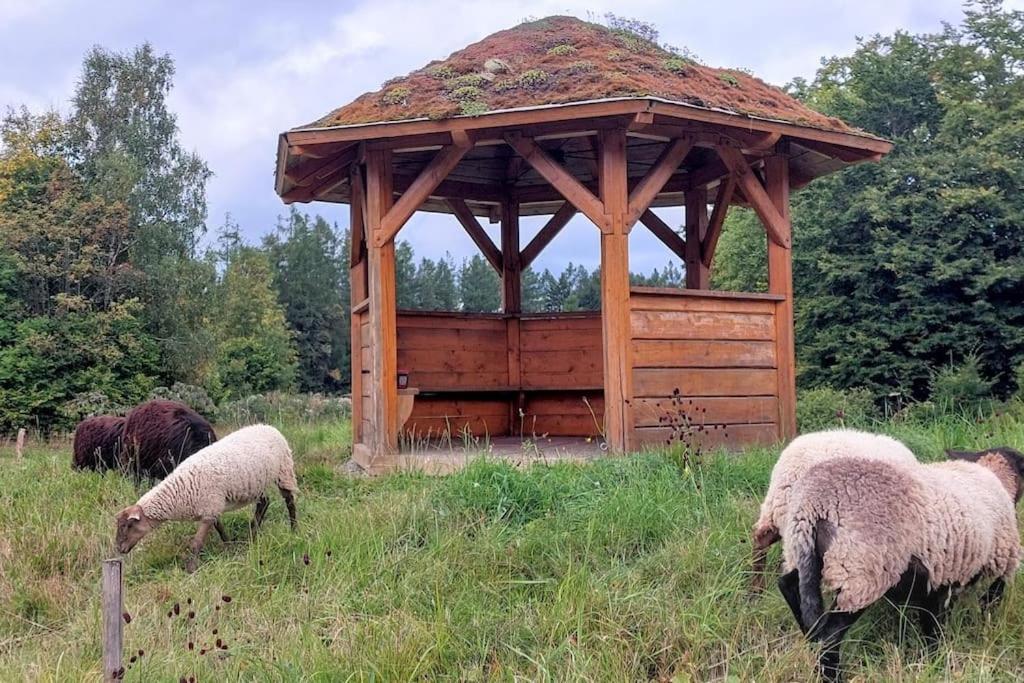 Chalet Boruvka - Biofarma Na Samote V Lesich Benesov  Екстериор снимка