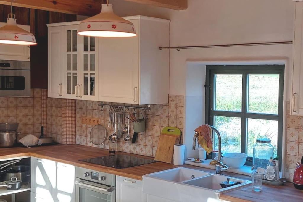 Chalet Boruvka - Biofarma Na Samote V Lesich Benesov  Екстериор снимка