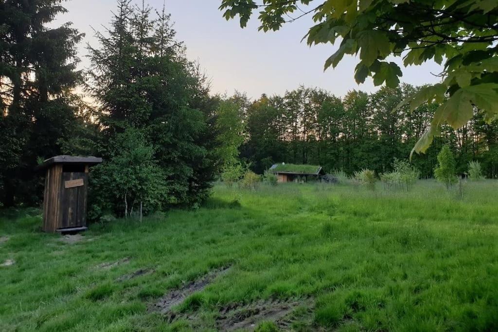 Chalet Boruvka - Biofarma Na Samote V Lesich Benesov  Екстериор снимка