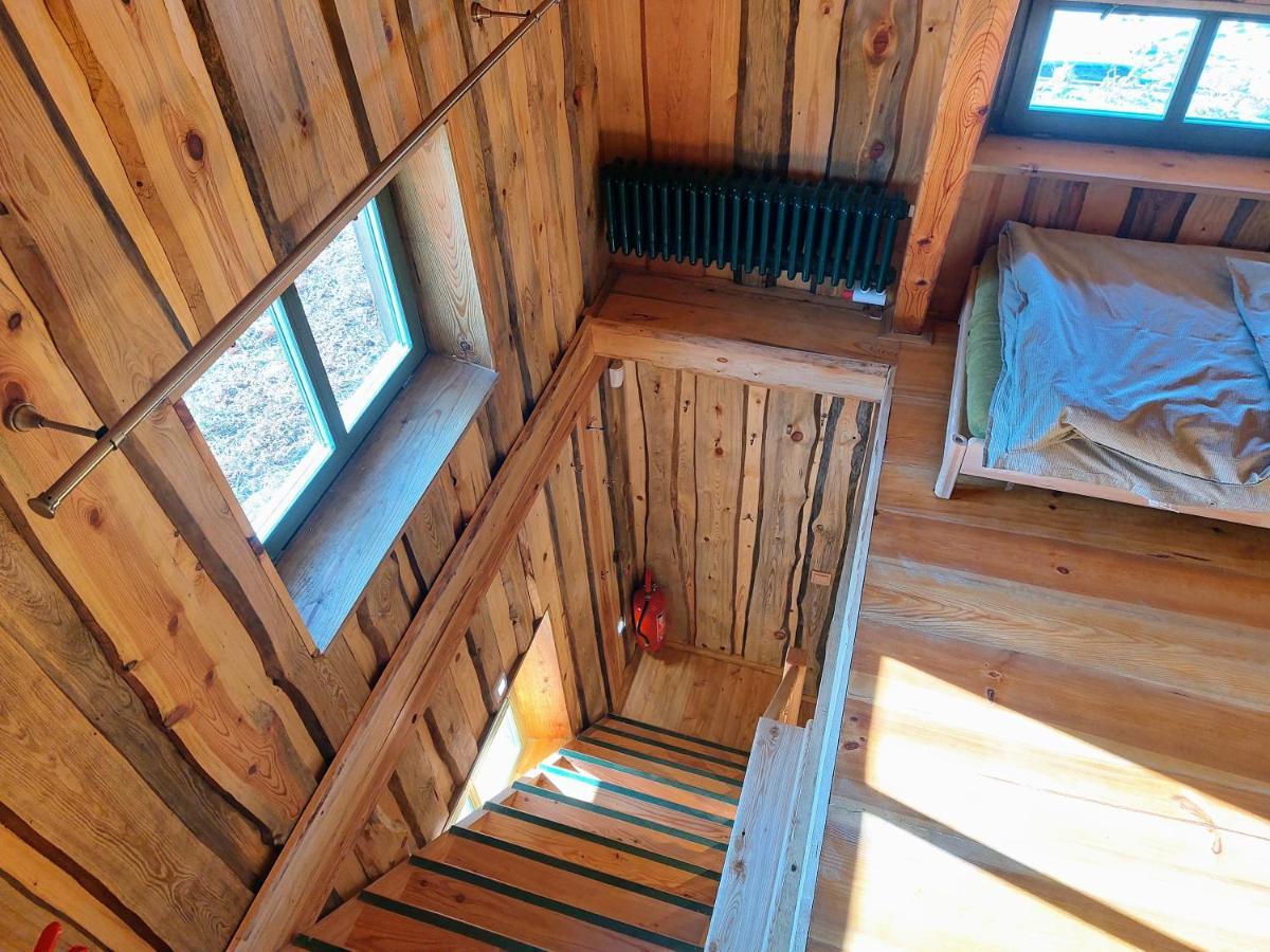 Chalet Boruvka - Biofarma Na Samote V Lesich Benesov  Екстериор снимка