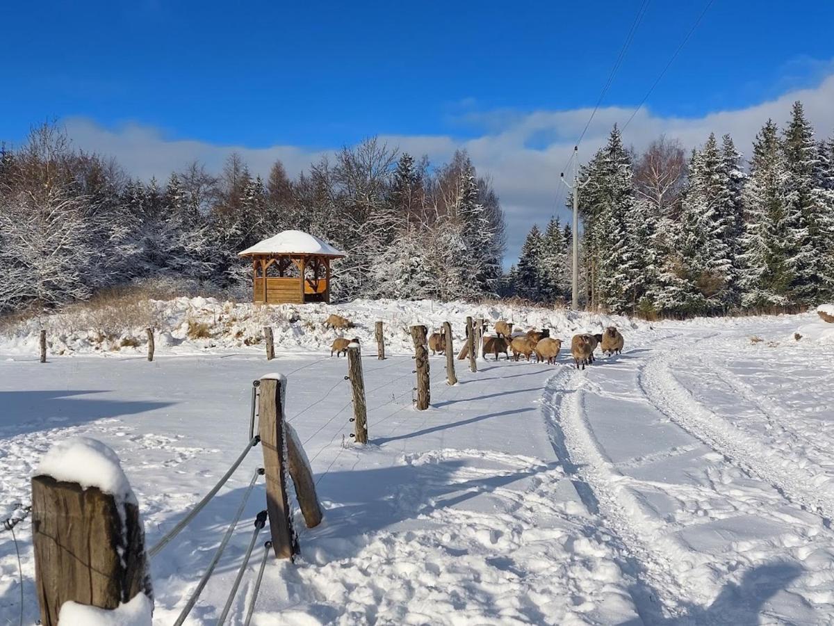Chalet Boruvka - Biofarma Na Samote V Lesich Benesov  Екстериор снимка